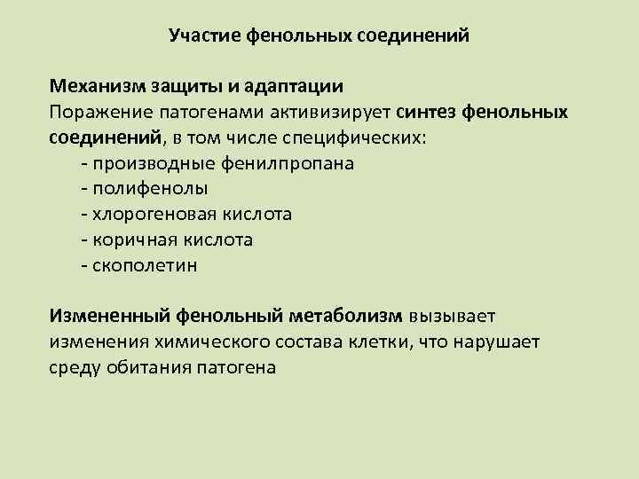 Участие фенольных соединений Механизм защиты и адаптации Поражение патогенами активизирует синтез фенольных соединений, в