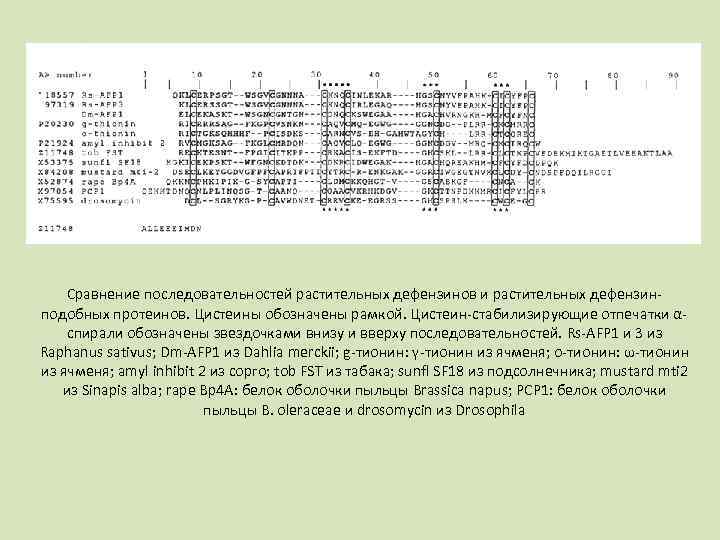 Сравнение последовательностей растительных дефензинов и растительных дефензин подобных протеинов. Цистеины обозначены рамкой. Цистеин стабилизирующие