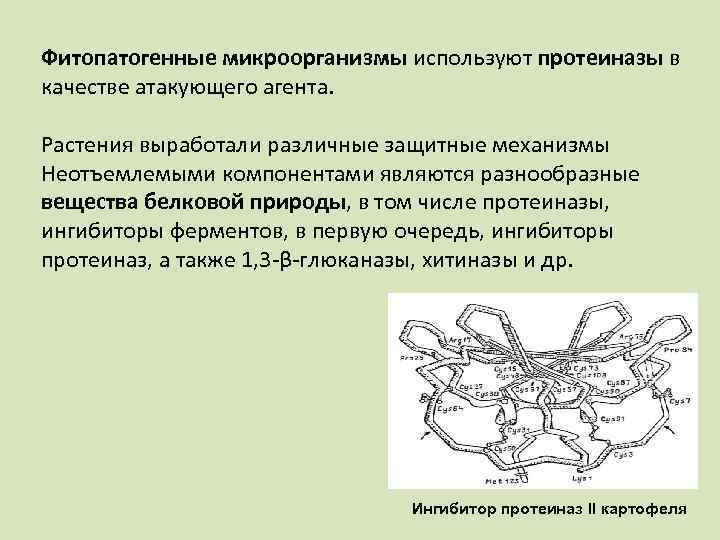 Фитопатогенные микроорганизмы используют протеиназы в качестве атакующего агента. Растения выработали различные защитные механизмы Неотъемлемыми