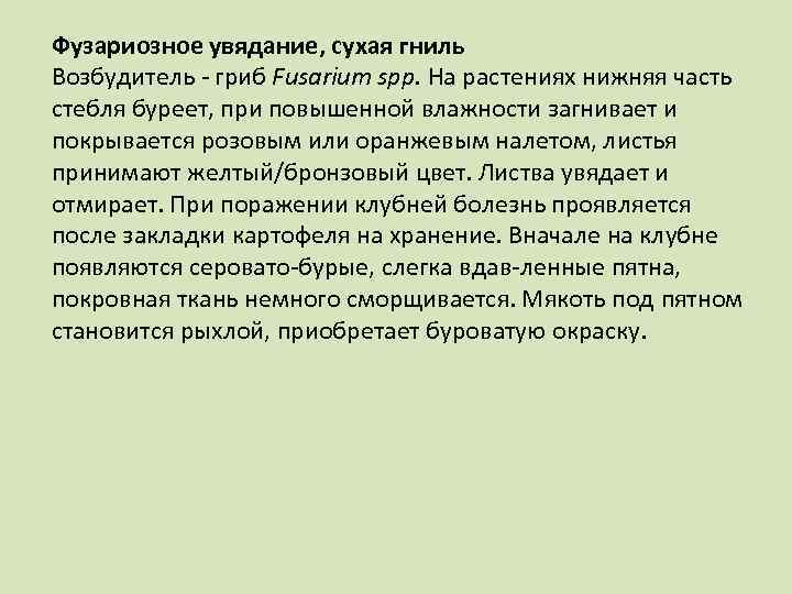 Фузариозное увядание, сухая гниль Возбудитель гриб Fusarium spp. На растениях нижняя часть стебля буреет,