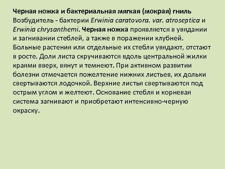 Черная ножка и бактериальная мягкая (мокрая) гниль Возбудитель бактерии Erwinia caratovora. var. atroseptica и