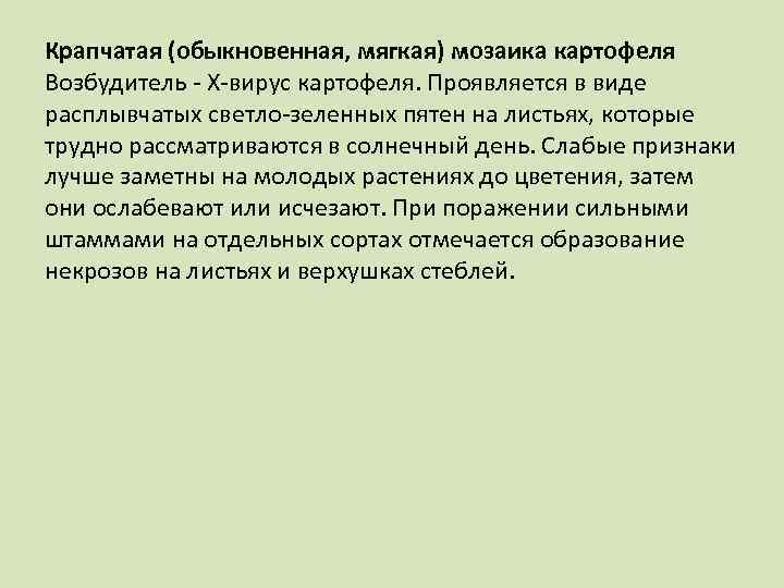Крапчатая (обыкновенная, мягкая) мозаика картофеля Возбудитель Х вирус картофеля. Проявляется в виде расплывчатых светло