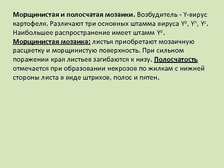 Морщинистая и полосчатая мозаики. Возбудитель Y вирус картофеля. Различают три основных штамма вируса Yo,