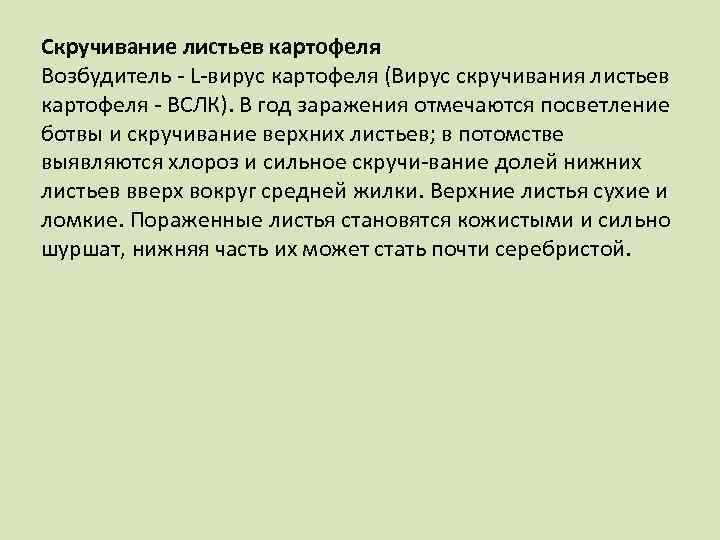 Скручивание листьев картофеля Возбудитель L вирус картофеля (Вирус скручивания листьев картофеля ВСЛК). В год