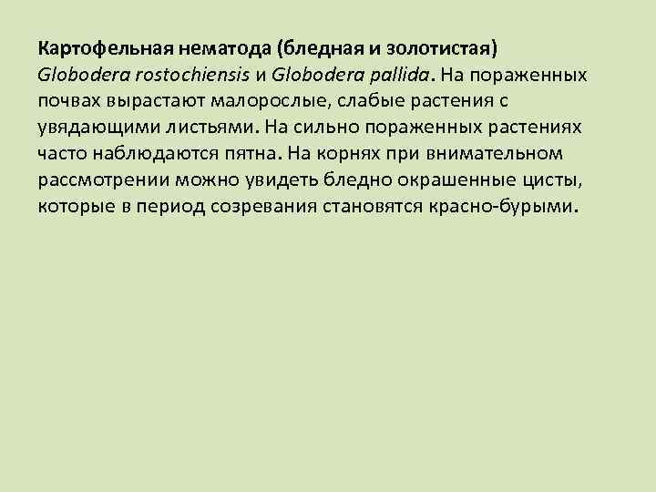 Картофельная нематода (бледная и золотистая) Globodera rostochiensis и Globodera pallida. На пораженных почвах вырастают