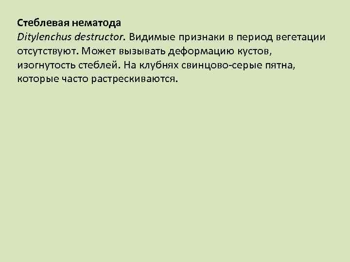 Стеблевая нематода Ditylenchus destructor. Видимые признаки в период вегетации отсутствуют. Может вызывать деформацию кустов,