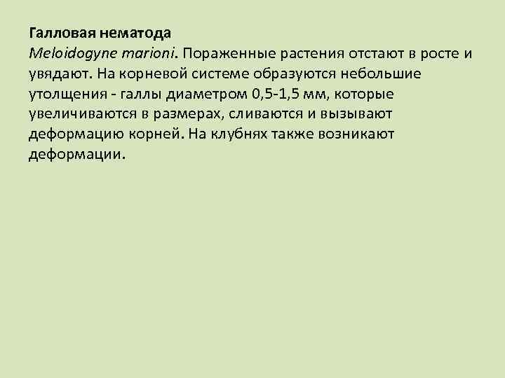 Галловая нематода Meloidogyne marioni. Пораженные растения отстают в росте и увядают. На корневой системе