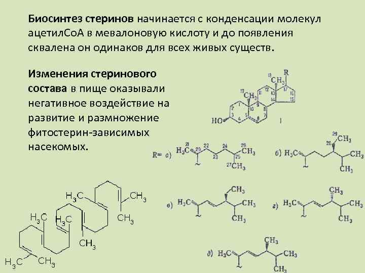 Биосинтез стеринов начинается с конденсации молекул ацетил. Со. А в мевалоновую кислоту и до