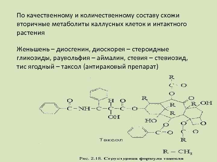 По качественному и количественному составу схожи вторичные метаболиты каллусных клеток и интактного растения Женьшень
