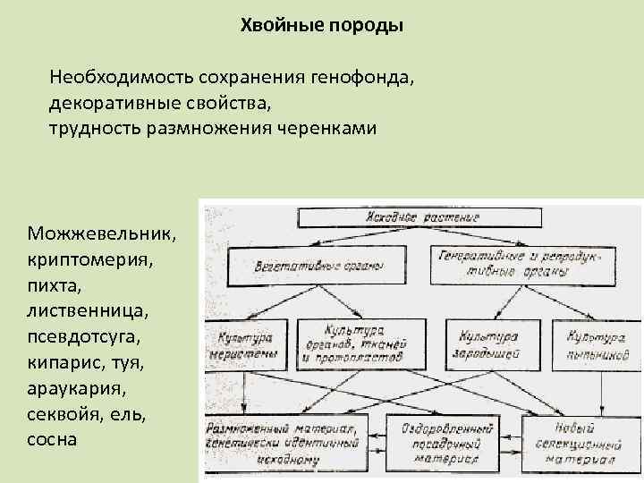 Генофонд и селекция. Сохранение генофонда. Сохранение генофонда редких видов в генетических банках. Для сохранения генофонда пород можно использовать какую форму отбора.