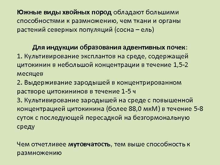 Южные виды хвойных пород обладают большими способностями к размножению, чем ткани и органы растений