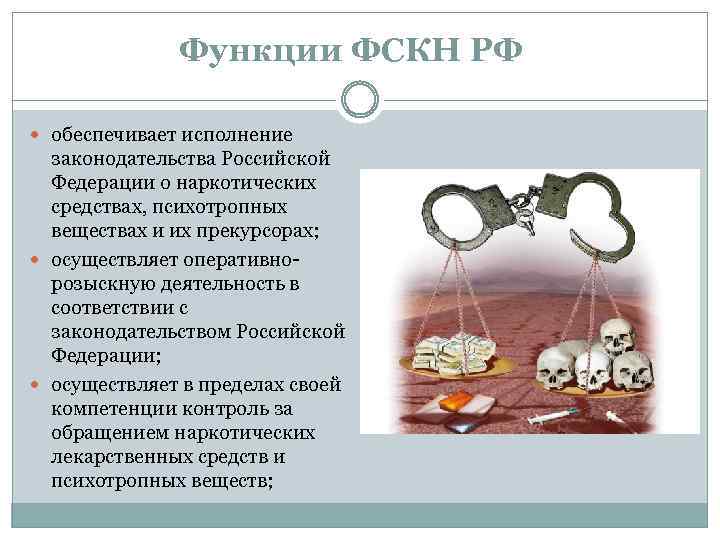 Функции ФСКН РФ обеспечивает исполнение законодательства Российской Федерации о наркотических средствах, психотропных веществах и