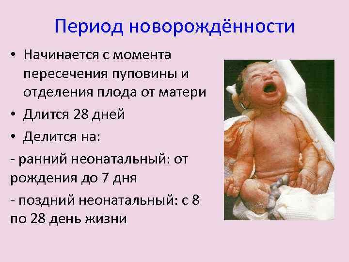 Период новорождённости • Начинается с момента пересечения пуповины и отделения плода от матери •