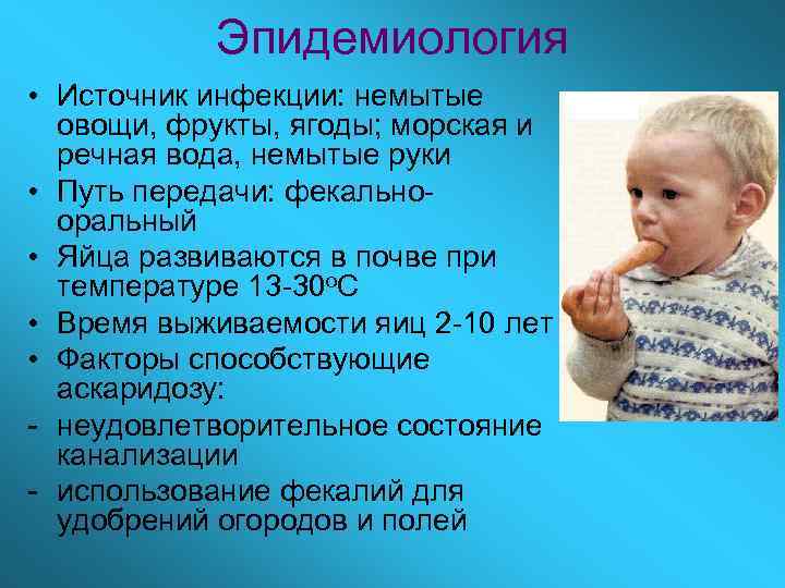 Эпидемиология • Источник инфекции: немытые овощи, фрукты, ягоды; морская и речная вода, немытые руки