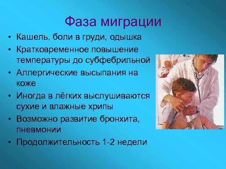 Фаза миграции • Кашель, боли в груди, одышка • Кратковременное повышение температуры до субфебрильной