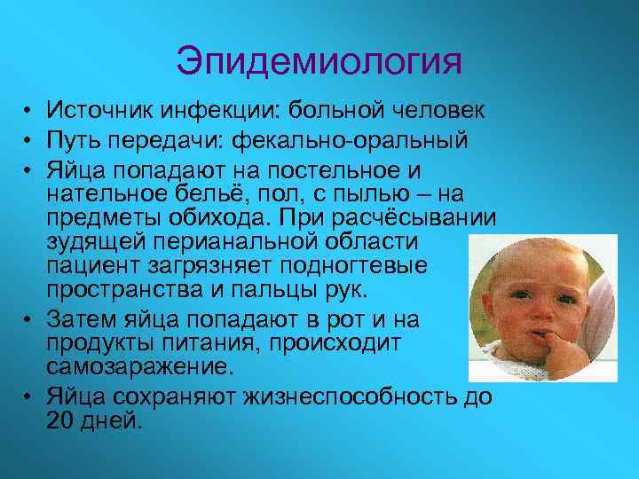 Эпидемиология • Источник инфекции: больной человек • Путь передачи: фекально-оральный • Яйца попадают на