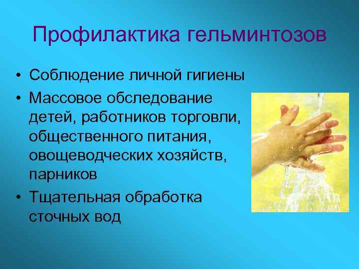 Профилактика гельминтозов • Соблюдение личной гигиены • Массовое обследование детей, работников торговли, общественного питания,