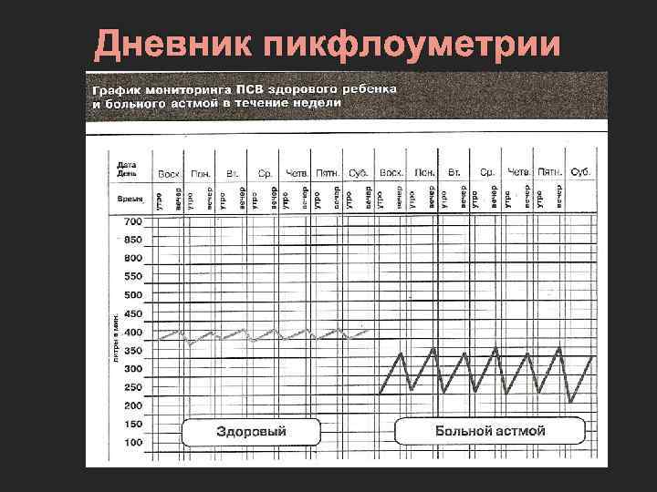 Дневник пикфлоуметрии 