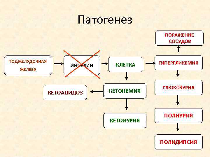 Патогенез ПОРАЖЕНИЕ СОСУДОВ ПОДЖЕЛУДОЧНАЯ ЖЕЛЕЗА ИНСУЛИН КЕТОАЦИДОЗ КЛЕТКА КЕТОНЕМИЯ КЕТОНУРИЯ ГИПЕРГЛИКЕМИЯ ГЛЮКОЗУРИЯ ПОЛИДИПСИЯ 
