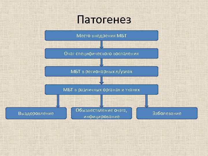 Патогенез Место внедрения МБТ Очаг специфического воспаления МБТ в регионарных л/узлах МБТ в различных