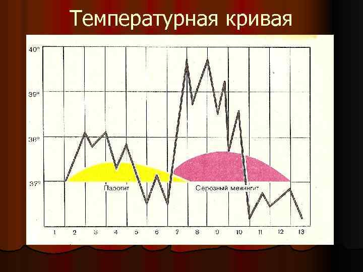 Температурная кривая 