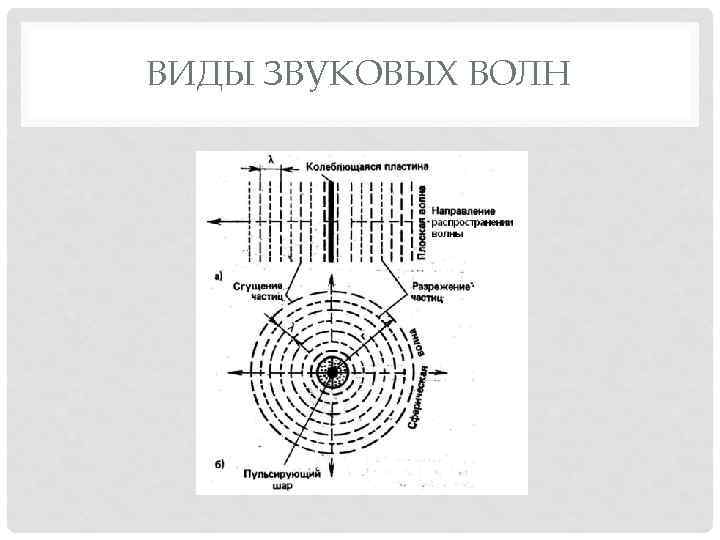 ВИДЫ ЗВУКОВЫХ ВОЛН 