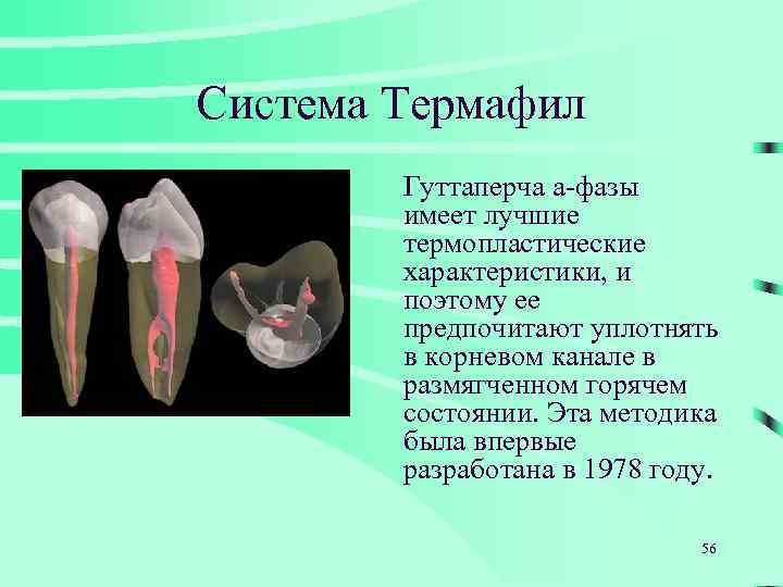 Система Термафил Гуттаперча a-фазы имеет лучшие термопластические характеристики, и поэтому ее предпочитают уплотнять в