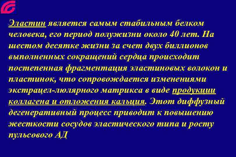 Эластин является самым стабильным белком человека, его период полужизни около 40 лет. На шестом