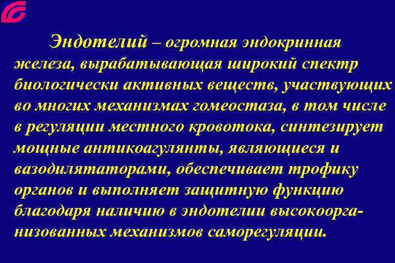 Эндотелий – огромная эндокринная железа, вырабатывающая широкий спектр биологически активных веществ, участвующих во многих