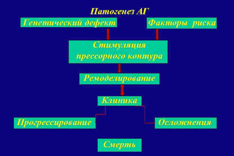Патогенез АГ Генетический дефект Факторы риска Стимуляция прессорного контура Ремоделирование Клиника Прогрессирование Осложнения Смерть