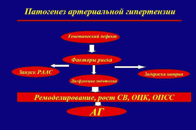 Патогенез артериальной гипертензии. Патогенез первичной артериальной гипертензии. Механизм развития артериальной гипертензии. Патогенез повышения артериального давления. Патогенез эссенциальной артериальной гипертензии.