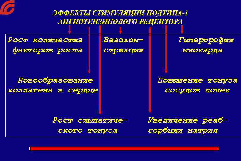 ЭФФЕКТЫ СТИМУЛЯЦИИ ПОДТИПА-1 АНГИОТЕНЗИНОВОГО РЕЦЕПТОРА Рост количества факторов роста Вазоконстрикция Новообразование коллагена в сердце