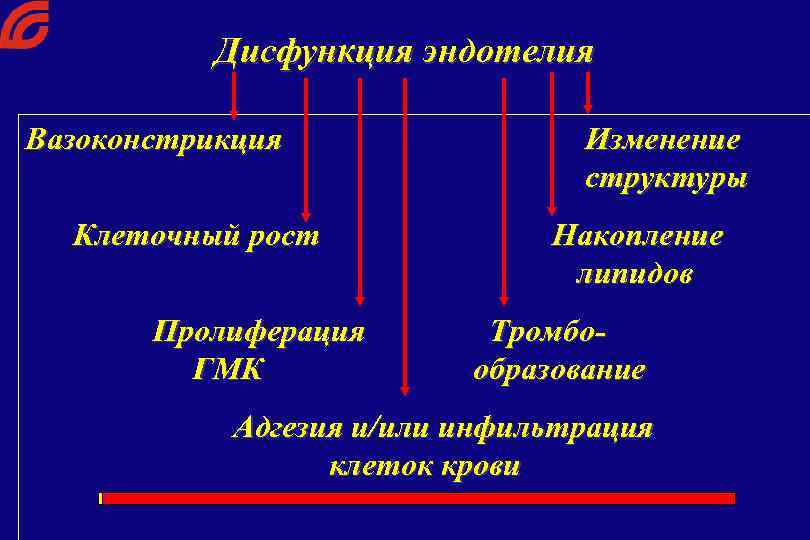 Дисфункция эндотелия Вазоконстрикция Клеточный рост Пролиферация ГМК Изменение структуры Накопление липидов Тромбообразование Адгезия и/или