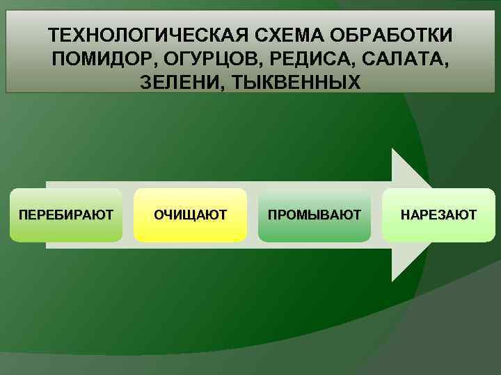 ТЕХНОЛОГИЧЕСКАЯ СХЕМА ОБРАБОТКИ ПОМИДОР, ОГУРЦОВ, РЕДИСА, САЛАТА, ЗЕЛЕНИ, ТЫКВЕННЫХ ПЕРЕБИРАЮТ ОЧИЩАЮТ ПРОМЫВАЮТ НАРЕЗАЮТ 