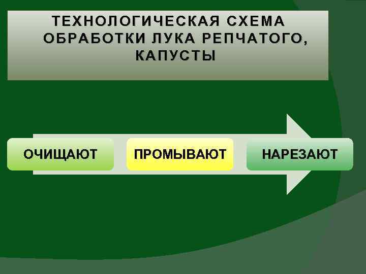 Схема обработки лука