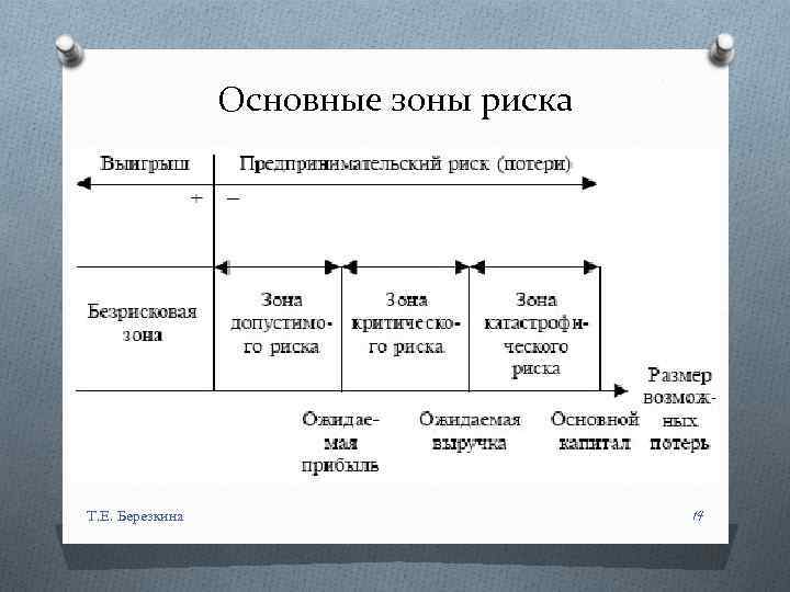 Основные зоны риска Т. Е. Березкина 14 