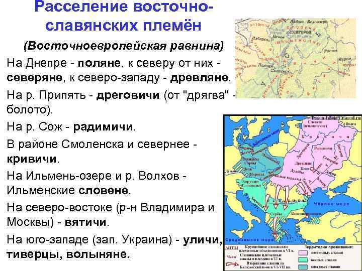 Расселение восточнославянских племён (Восточноевропейская равнина) На Днепре - поляне, к северу от них -