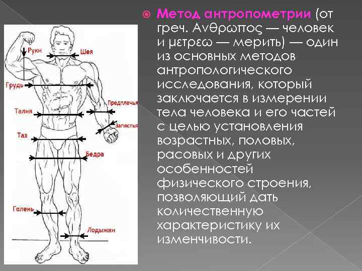  Метод антропометрии (от греч. Ανθρωπος — человек и μετρεω — мерить) — один