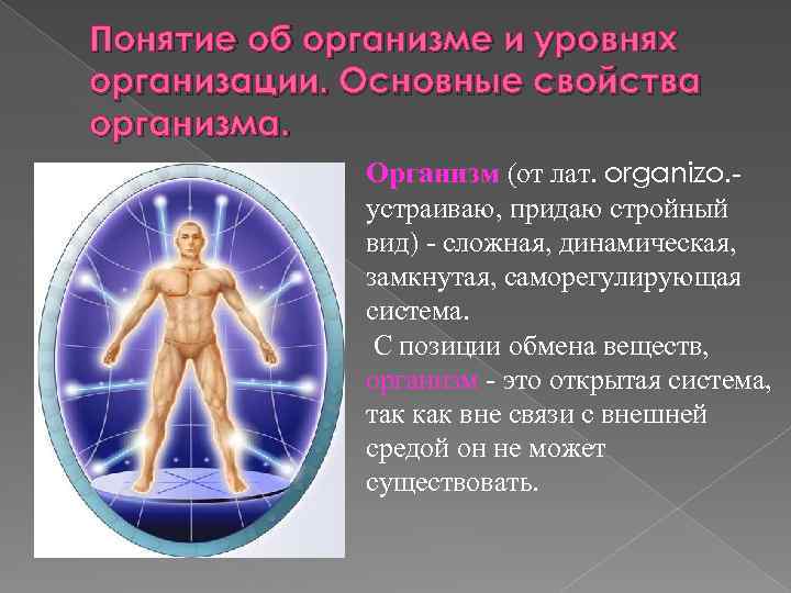 Понятие об организме