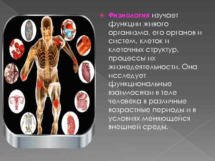 Физиология. Физиология жизнедеятельности человека. Организм это в физиологии. Физиологические функции организма.