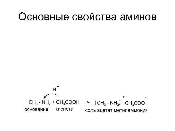 Основные свойства аминов 