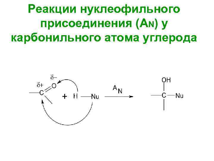 Реакции нуклеофильного присоединения (AN) у карбонильного атома углерода 