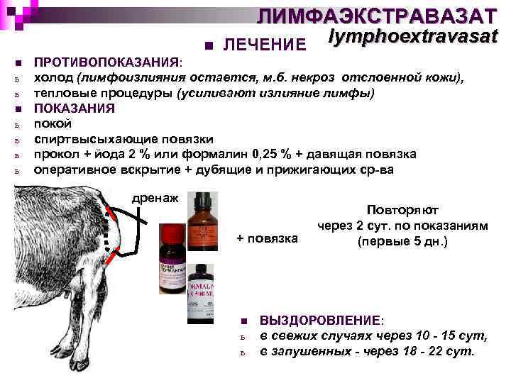 ЛИМФАЭКСТРАВАЗАТ n n ь ь ь ь ЛЕЧЕНИЕ lymphoextravasat ПРОТИВОПОКАЗАНИЯ: холод (лимфоизлияния остается, м.