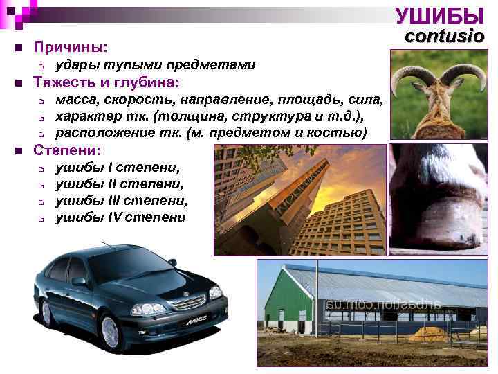 УШИБЫ n Причины: ь n Тяжесть и глубина: ь ь ь n удары тупыми