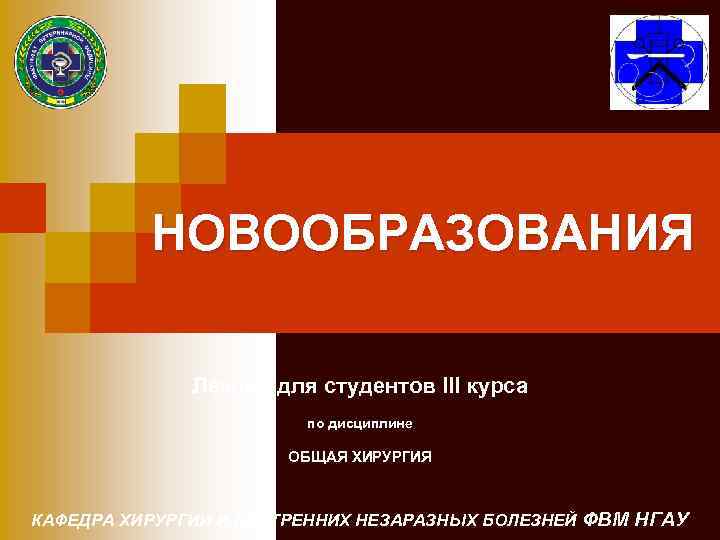 НОВООБРАЗОВАНИЯ Лекция для студентов III курса по дисциплине ОБЩАЯ ХИРУРГИЯ КАФЕДРА ХИРУРГИИ И ВНУТРЕННИХ