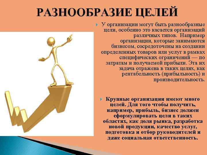 РАЗНООБРАЗИЕ ЦЕЛЕЙ У организации могут быть разнообразные цели, особенно это касается организаций различных типов.