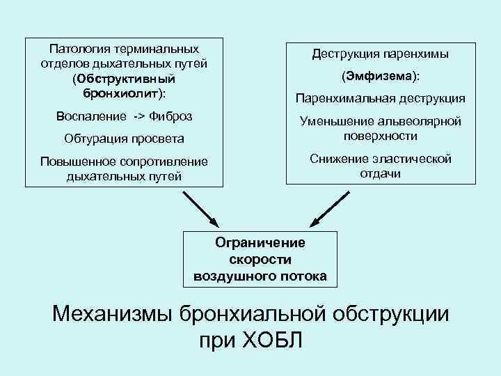 Патология терминальных отделов дыхательных путей (Обструктивный бронхиолит): Воспаление -> Фиброз Деструкция паренхимы (Эмфизема): Паренхимальная