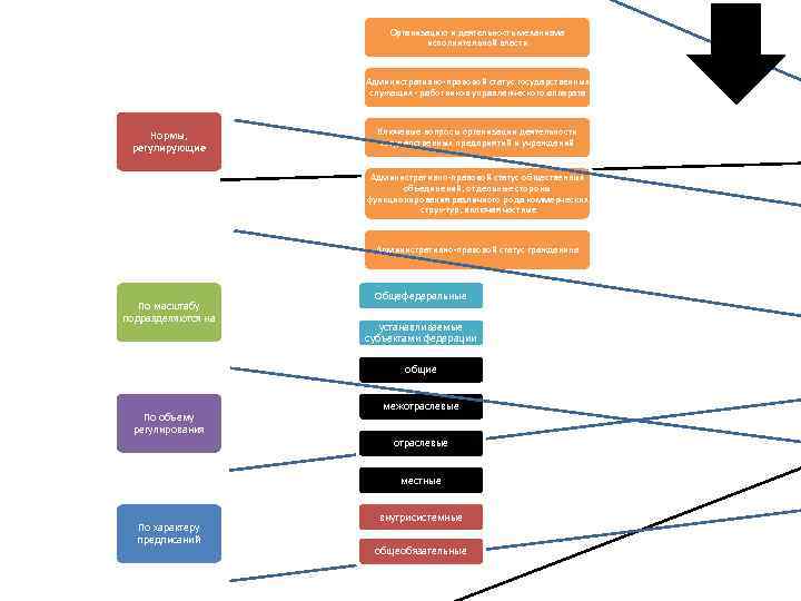 Организацию и деятельность механизма исполнительной власти Административно правовой статус государственных служащих работников управленческого аппарата