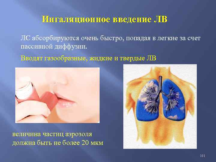 Ингаляционное введение ЛВ ЛС абсорбируются очень быстро, попадая в легкие за счет пассивной диффузии.