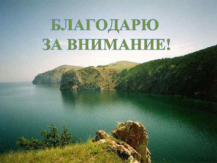 БЛАГОДАРЮ ЗА ВНИМАНИЕ! 